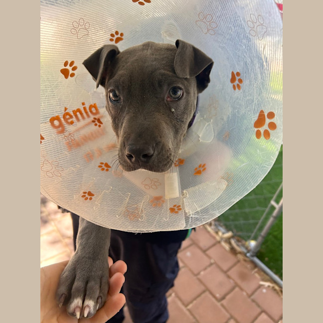 Photo of Zeus