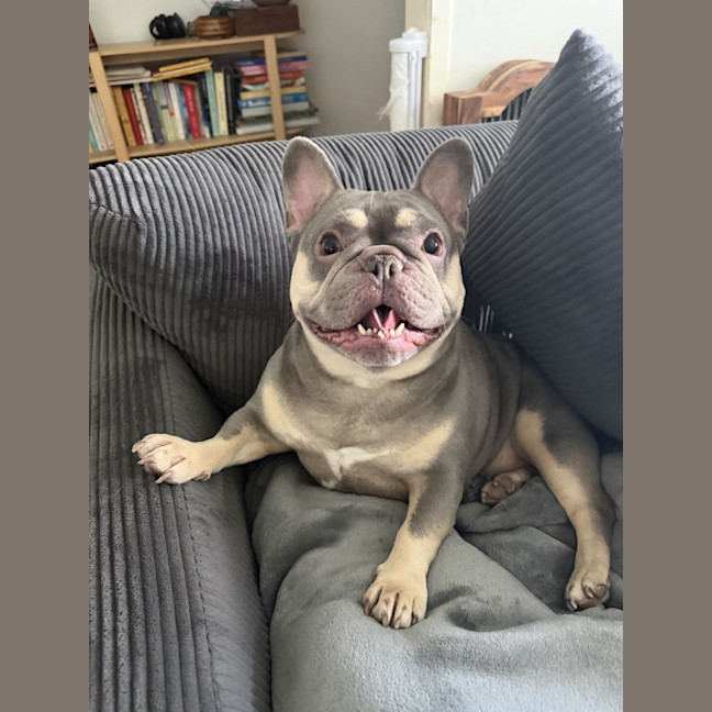 Photo of Peppa