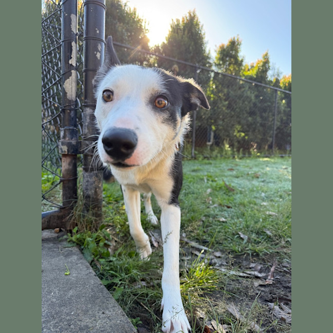 Photo of Pippy