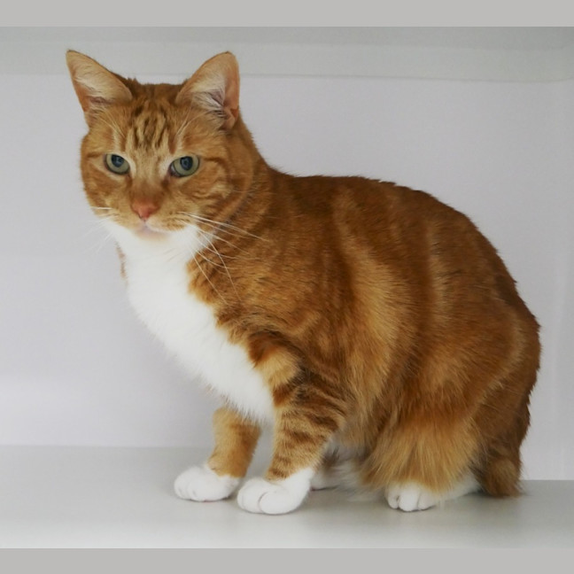 Photo of Huckleberry Rsua012814