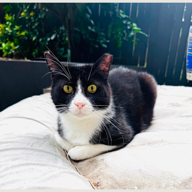 Photo of Gatsby 🌟