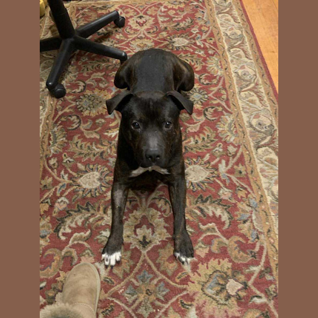 Photo of Buster