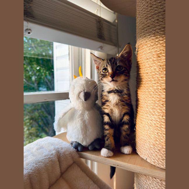 Photo of Carmela