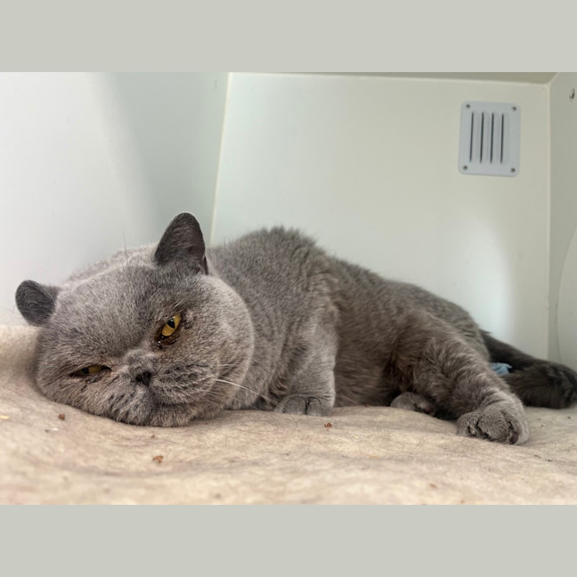 Photo of April Showers