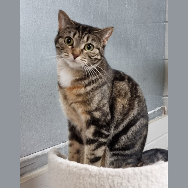 Photo of Little Lady