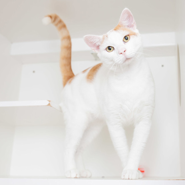 Photo of Bobbie