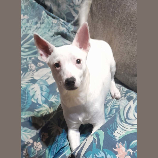 Photo of Minnie