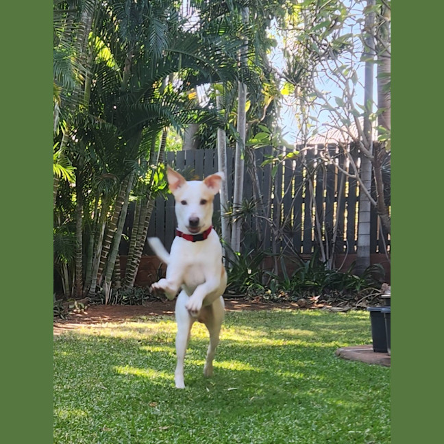 Photo of Bobby