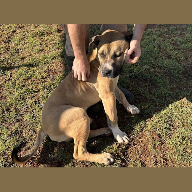 Photo of Archer Tamblyn