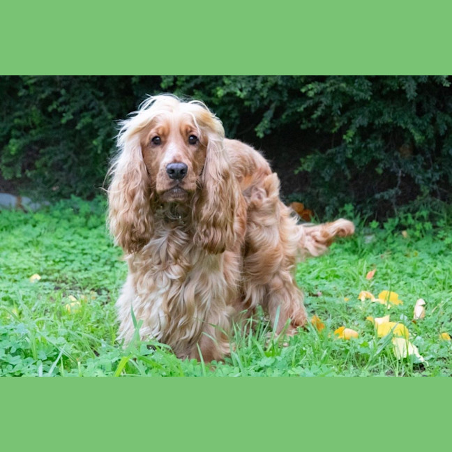 Photo of Cookie Dumont