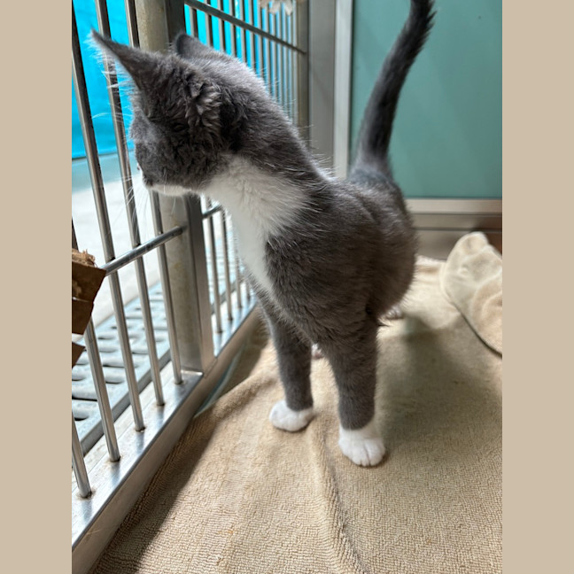 Photo of Evie