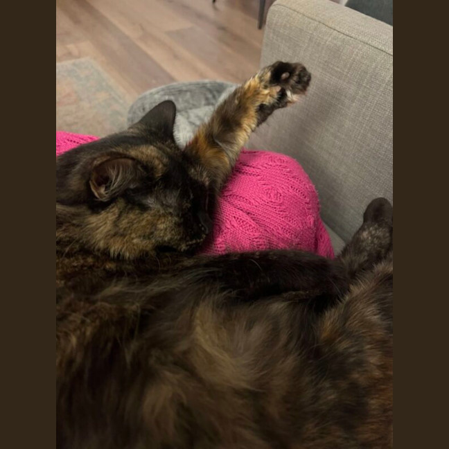 Photo of Mia