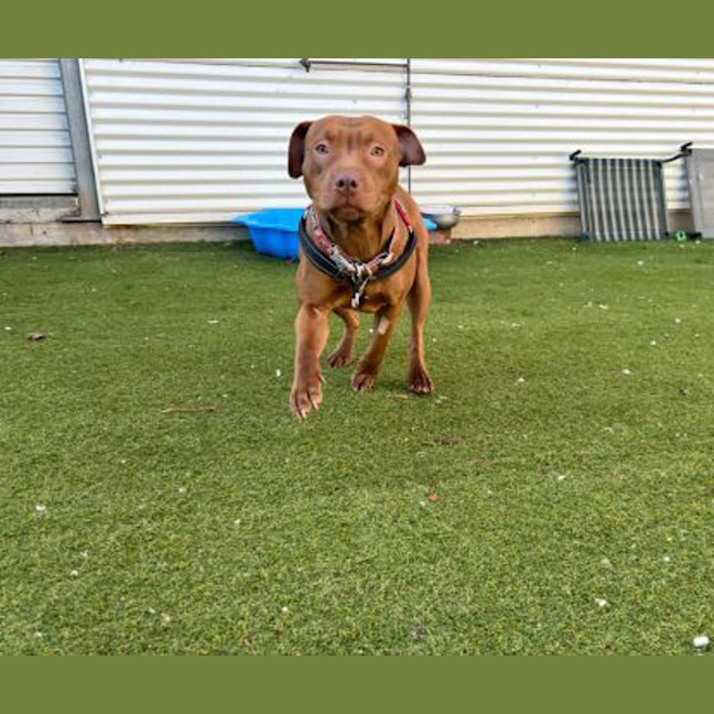 Photo of Darcie