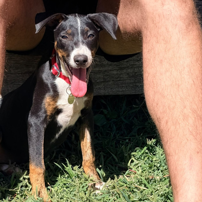 Photo of Nellie