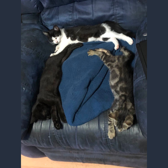 Photo of Jasper
