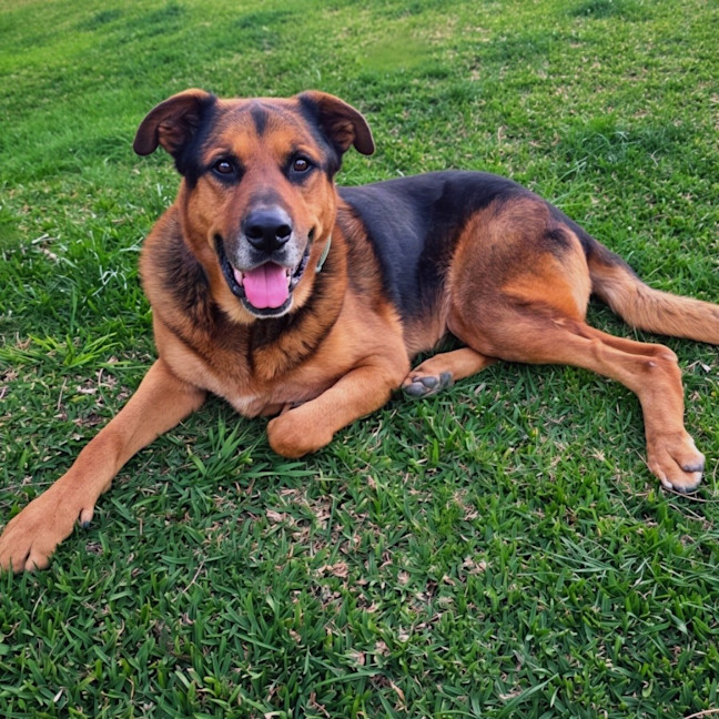 Photo of Bobby