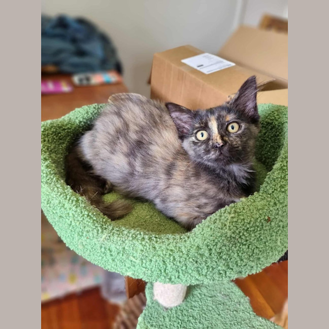 Photo of Squish 