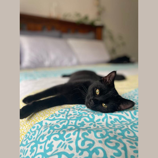 Photo of Delilah 🩷