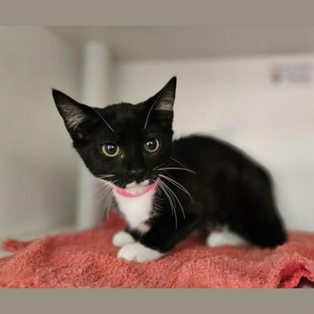 Photo of Milly