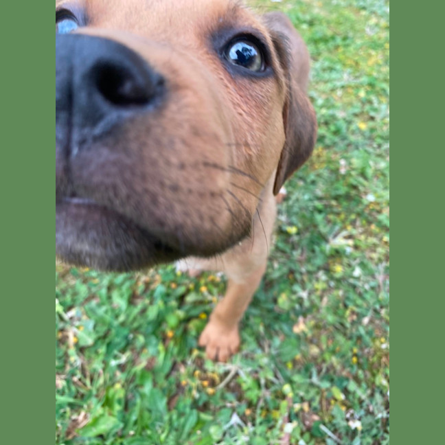 Photo of Hey Jude