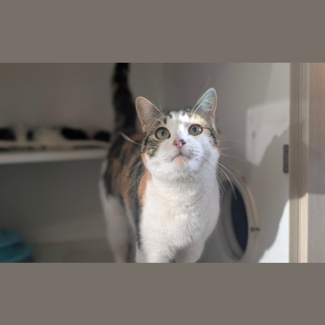 Photo of Millie