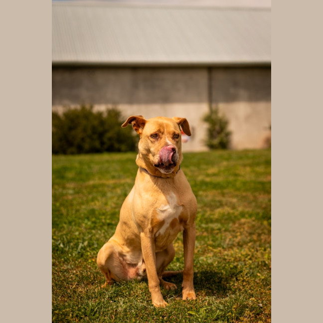 Photo of Max