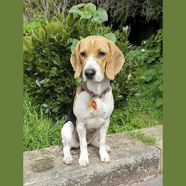 Photo of Millie