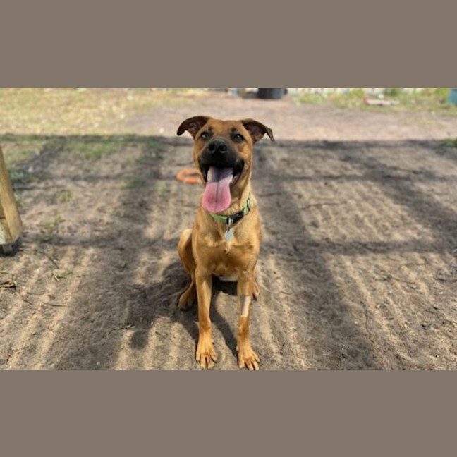 Photo of Scarlet
