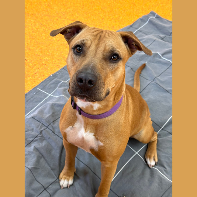 Photo of Cali