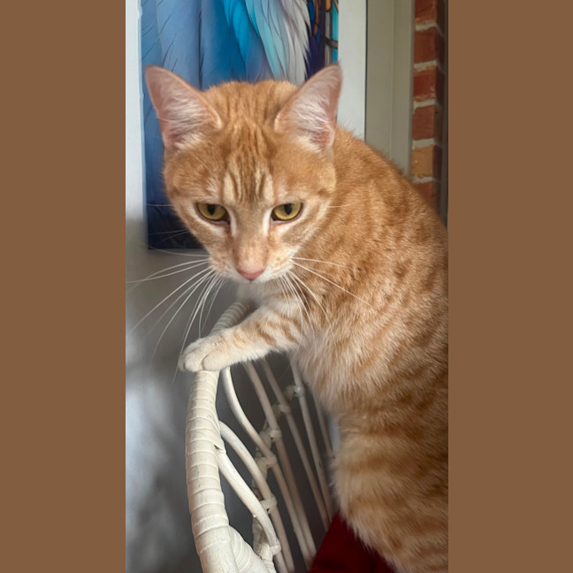 Photo of Arna