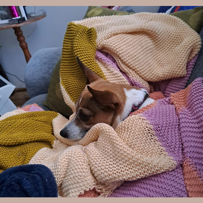 Photo of Cutie Trixie 