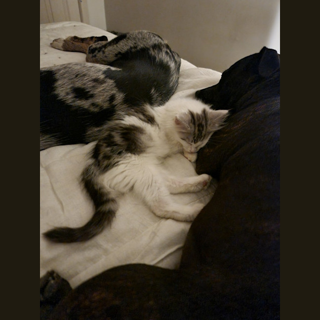 Photo of ❄️❄️blizzard❄️❄️