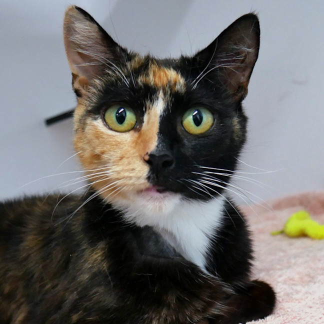 Photo of Arwen Sta015095