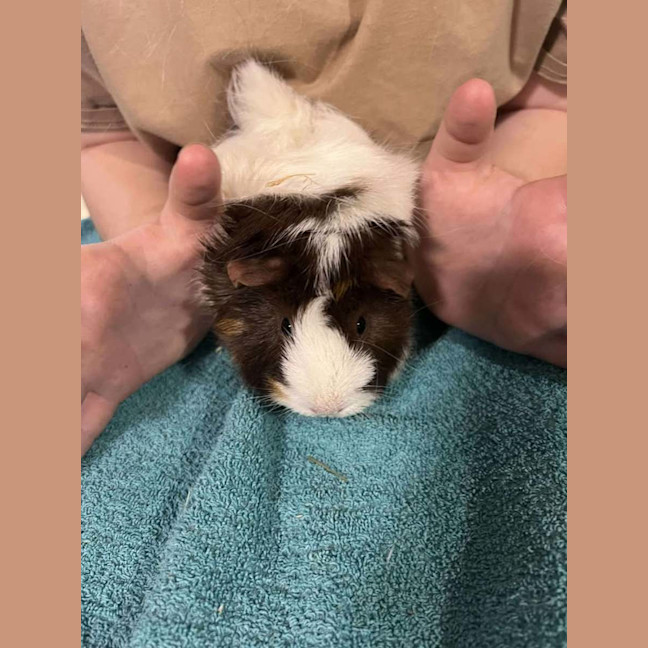 Photo of Gina & Mina