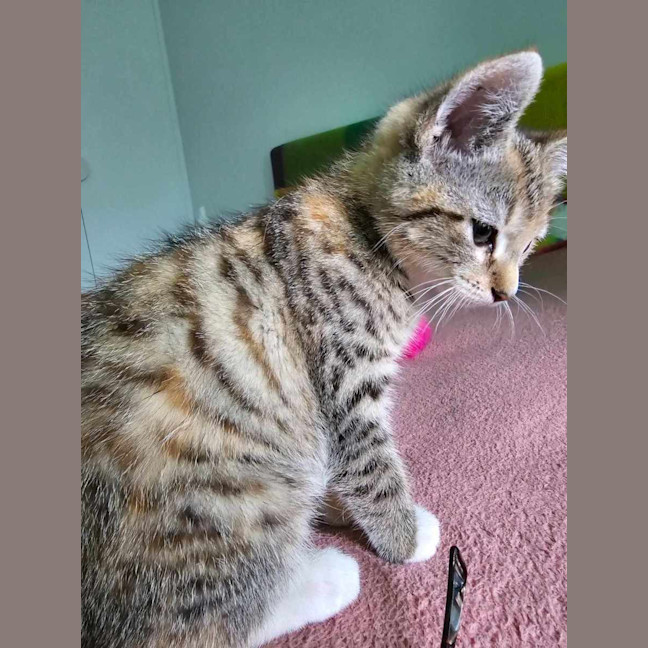 Photo of Esther