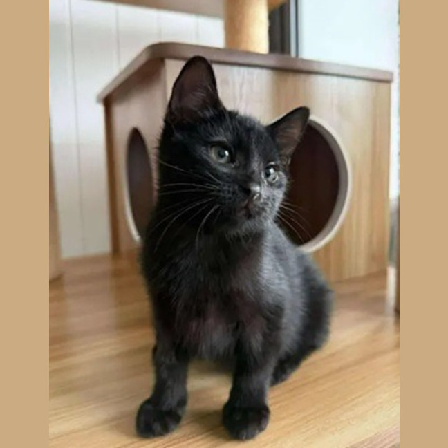 Photo of Laverne