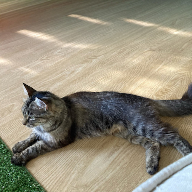 Photo of Miss Smoochy