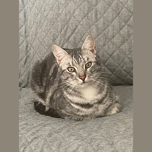Photo of Cloud