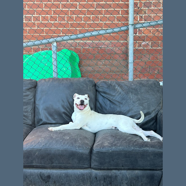 Photo of Buster