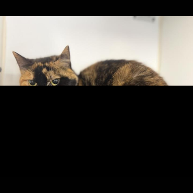 Photo of Kiki