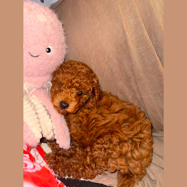 Photo of Tabitha