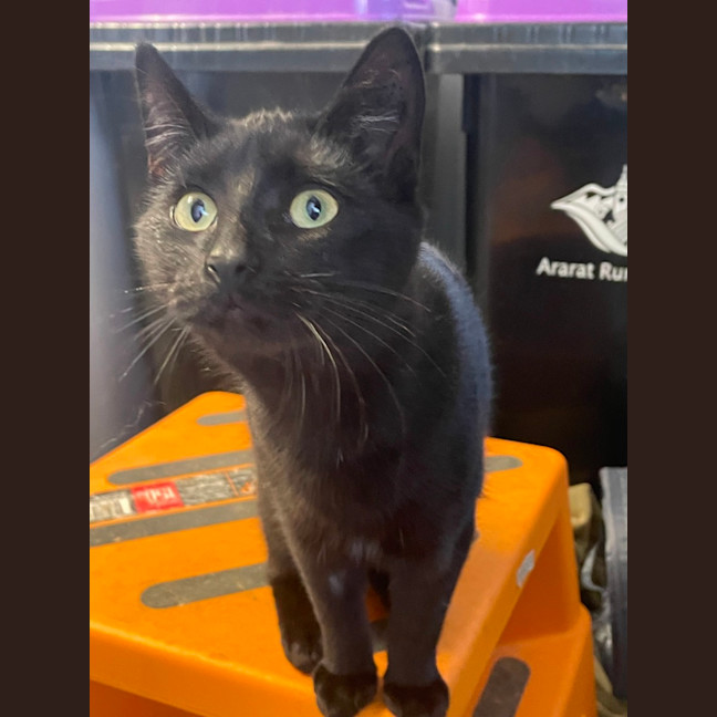 Photo of Betty
