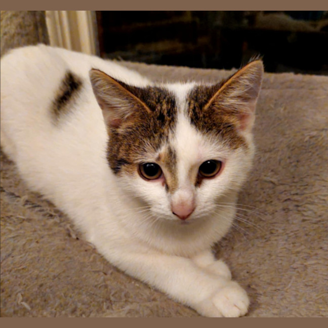 Photo of Kimmie 🌺