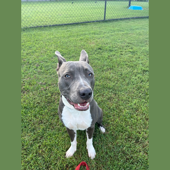 Photo of Odin