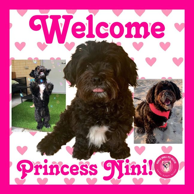 Photo of Princess Nini 