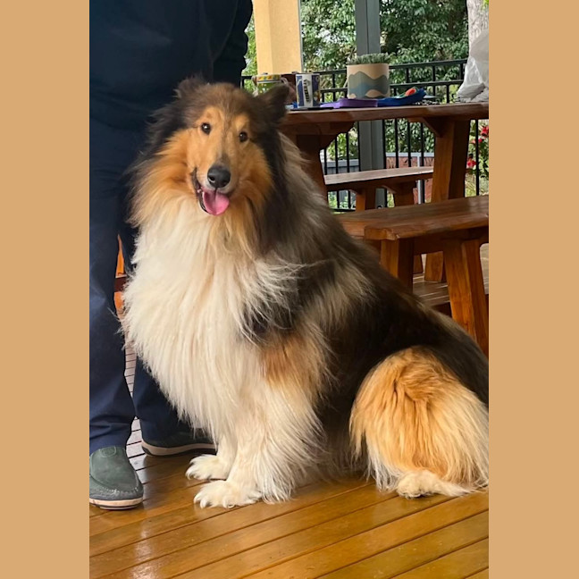 Photo of Buddy & Lilly