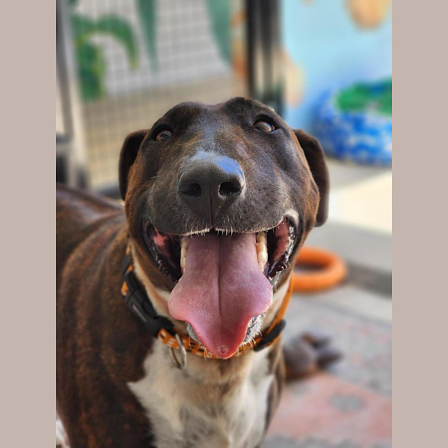 Photo of 🦆 Ducky 6839 🦆