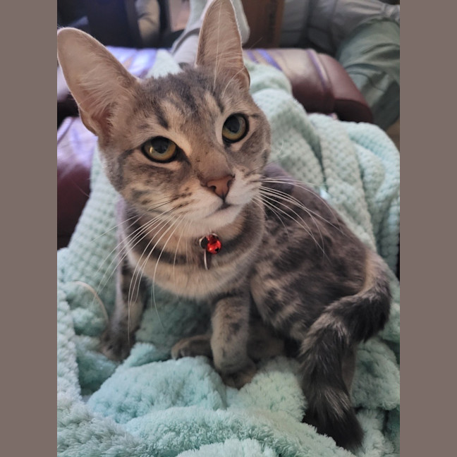 Photo of Nora