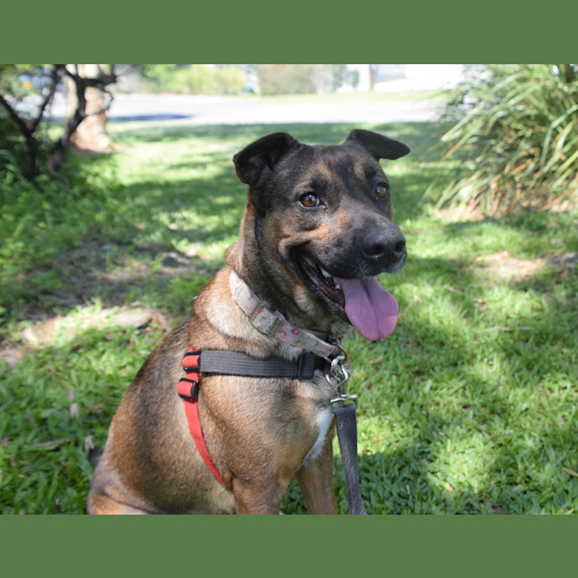 Photo of Coco