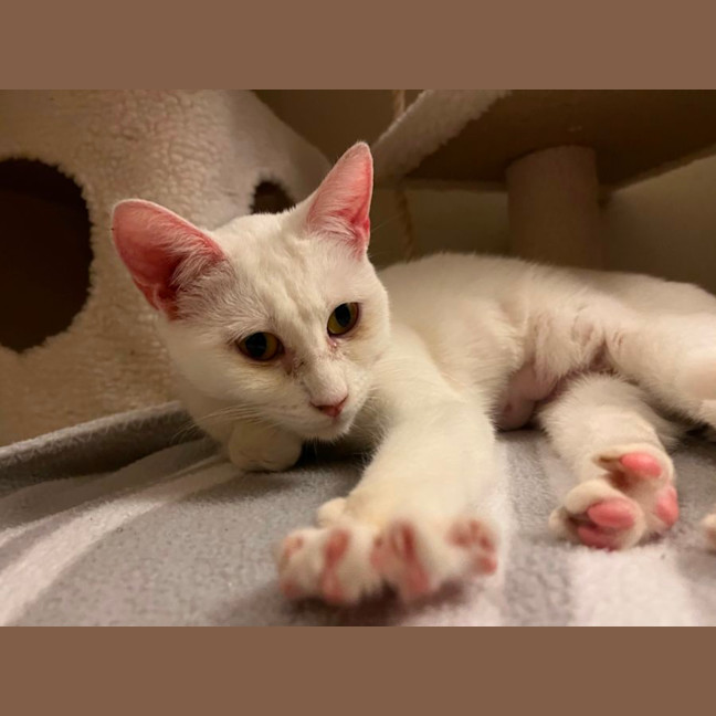 Photo of Princess Ciri 